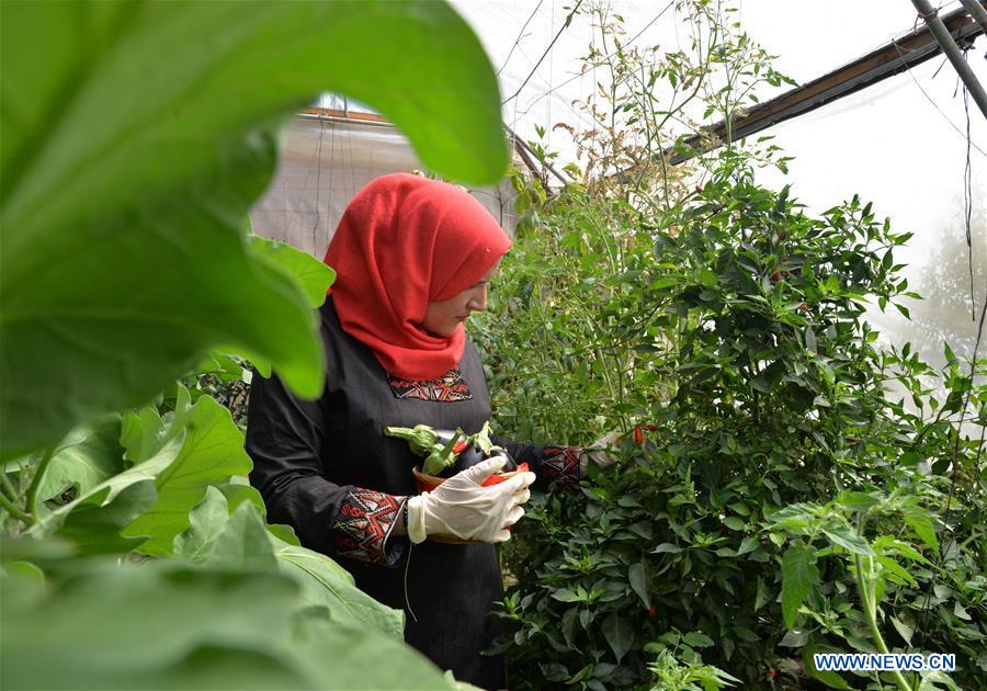 MIDEAST-GAZA-WATER FARM