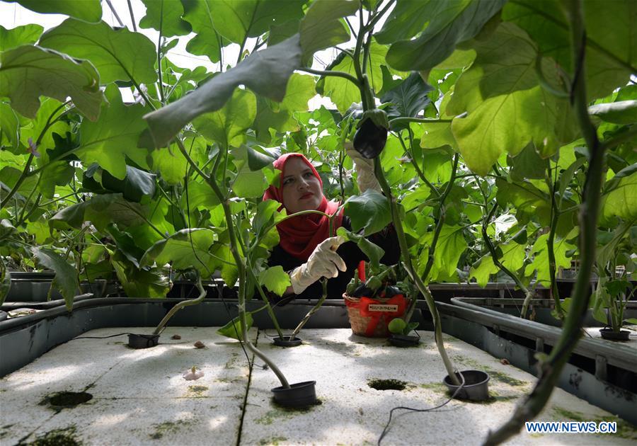 MIDEAST-GAZA-WATER FARM