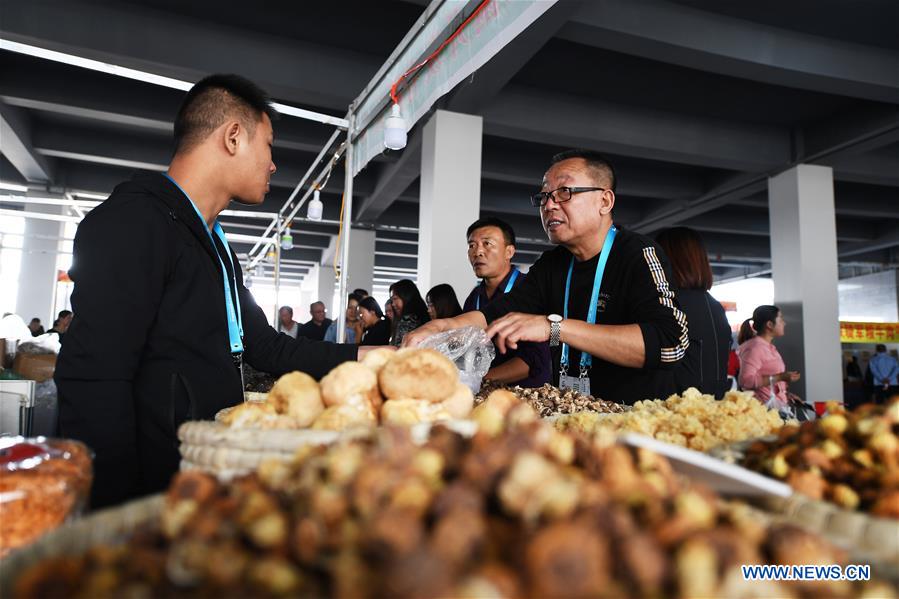 CHINA-SHANXI-JINZHONG-AGRICULTURAL PRODUCTS TRADE EXPO (CN)