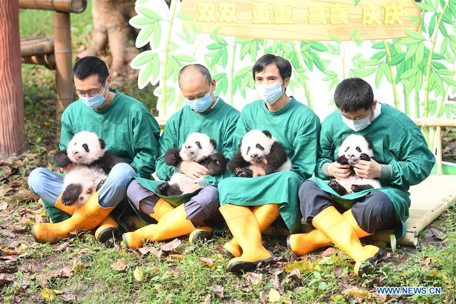 CHINA-CHONGQING-GIANT PANDA TWINS-NAMING CEREMONY (CN)