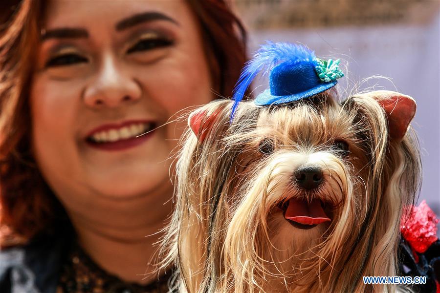 PHILIPPINES-QUEZON CITY-WORLD ANIMAL DAY-COSTUMED PETS