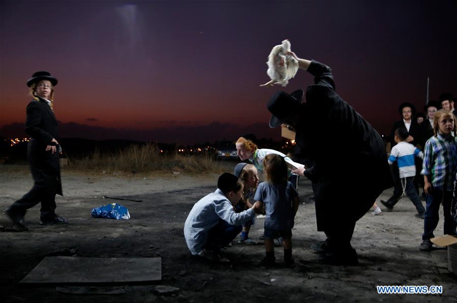 ISRAEL-BEIT SHEMESH-KAPAROT