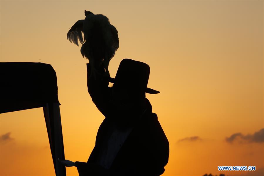 ISRAEL-BEIT SHEMESH-KAPAROT