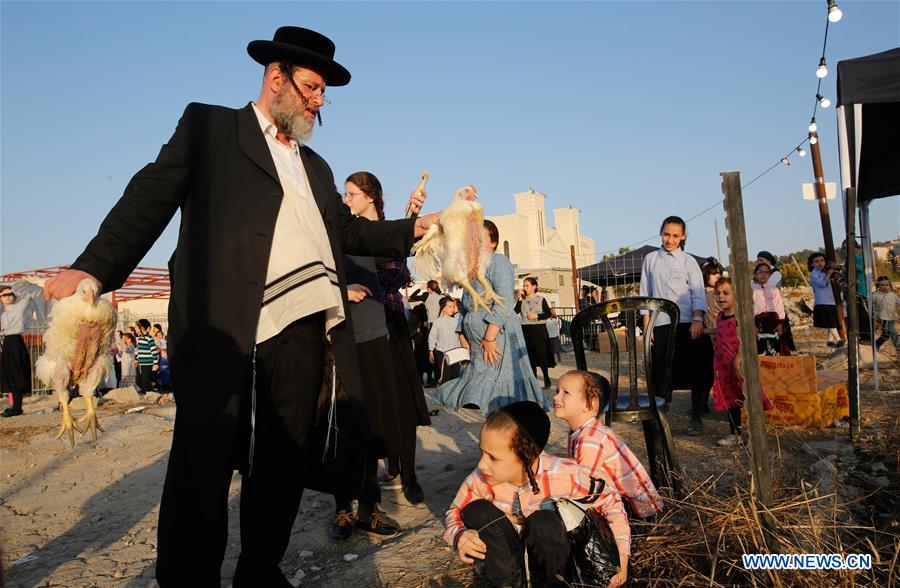 ISRAEL-BEIT SHEMESH-KAPAROT