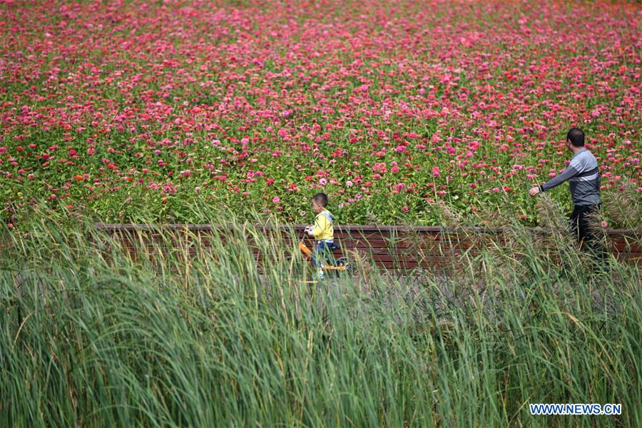 CHINA-ANHUI-PARK-SCENERY(CN)