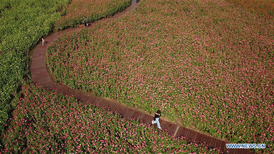 CHINA-ANHUI-PARK-SCENERY(CN)