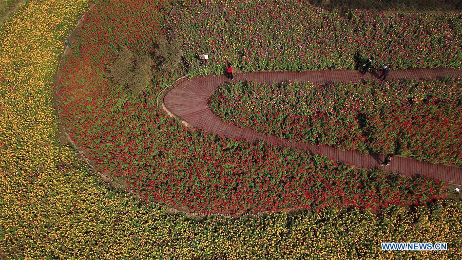 CHINA-ANHUI-PARK-SCENERY(CN)