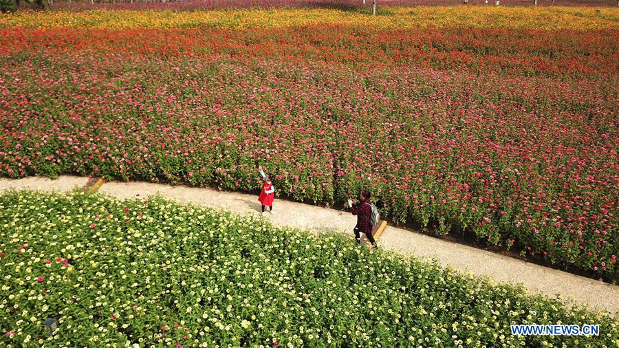 CHINA-ANHUI-PARK-SCENERY(CN)