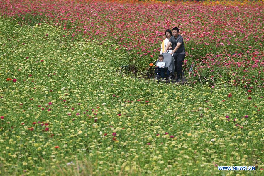CHINA-ANHUI-PARK-SCENERY(CN)