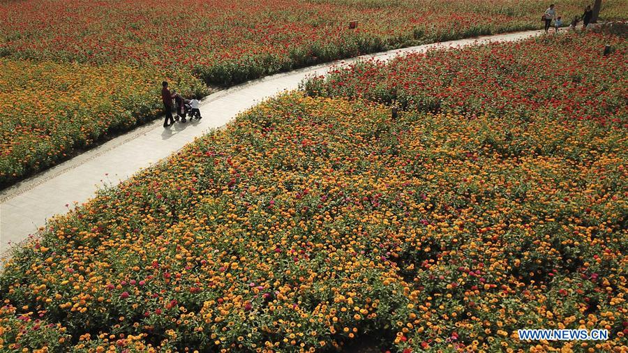 CHINA-ANHUI-PARK-SCENERY(CN)