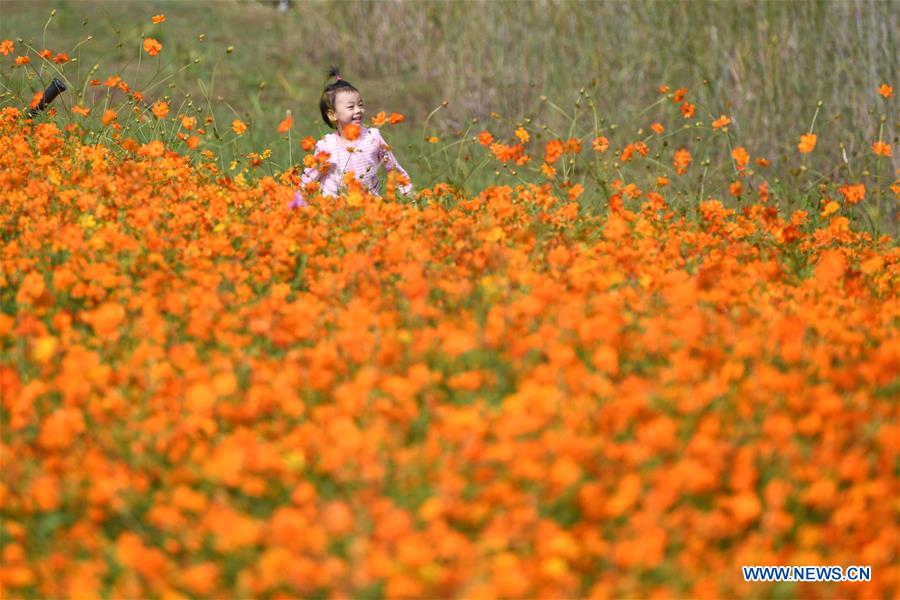 CHINA-ANHUI-PARK-SCENERY(CN)
