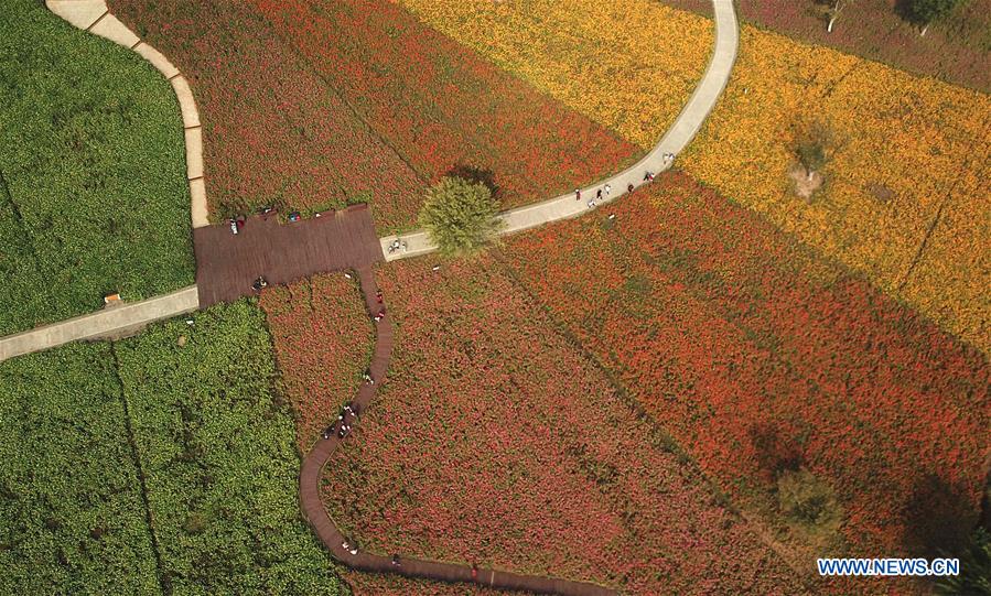 CHINA-ANHUI-PARK-SCENERY(CN)