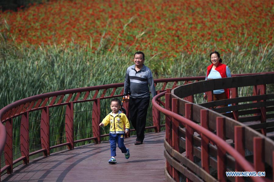 CHINA-ANHUI-PARK-SCENERY(CN)