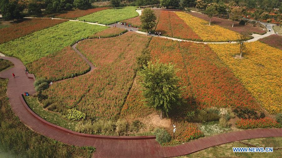 CHINA-ANHUI-PARK-SCENERY(CN)