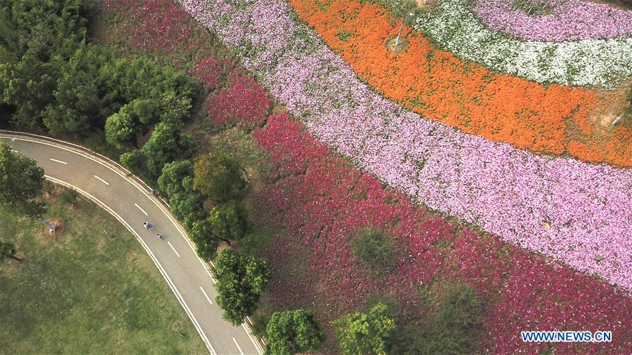 CHINA-ANHUI-PARK-SCENERY(CN)