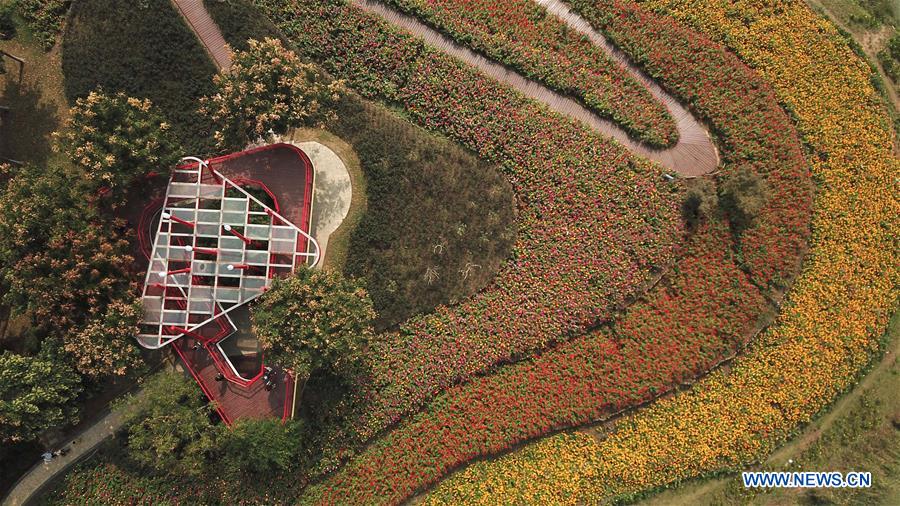 CHINA-ANHUI-PARK-SCENERY(CN)