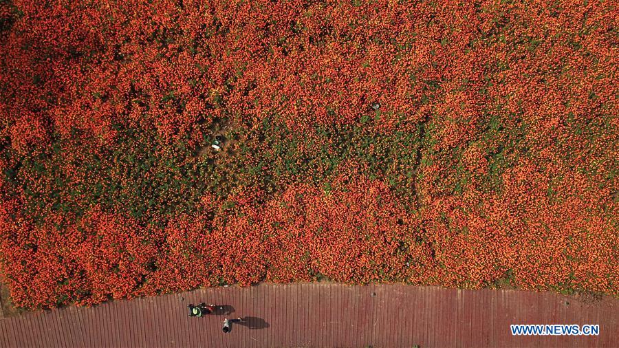 XINHUA PHOTOS OF THE DAY