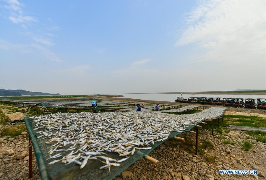 CHINA-JIANGXI-DRIED FISH (CN)