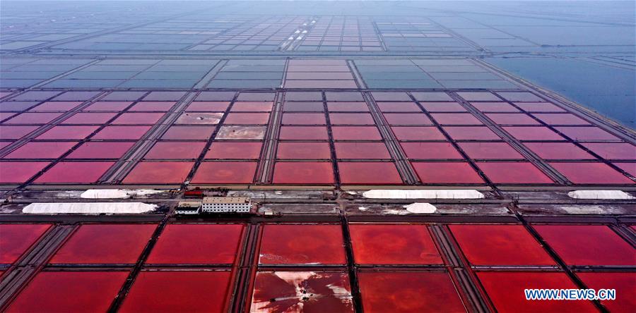 CHINA-SHANDONG-SALT HARVEST (CN)