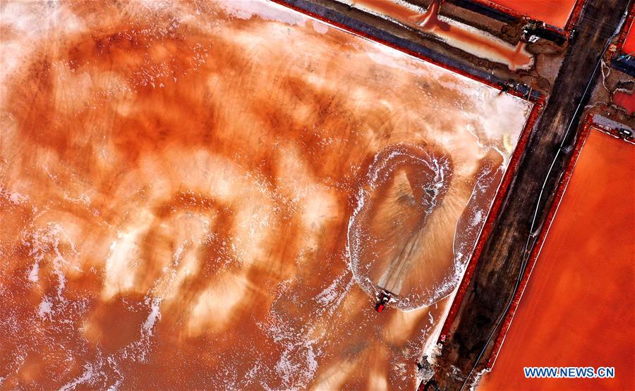 CHINA-SHANDONG-SALT HARVEST (CN)