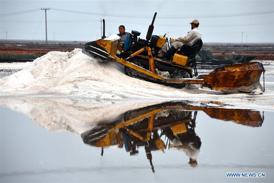 CHINA-SHANDONG-SALT HARVEST (CN)