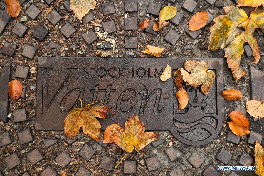 SWEDEN-STOCKHOLM-AUTUMN