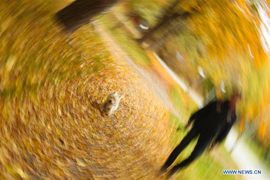 SWEDEN-STOCKHOLM-AUTUMN