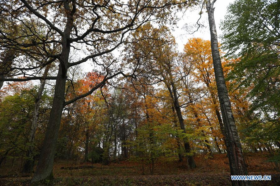 SWEDEN-STOCKHOLM-AUTUMN