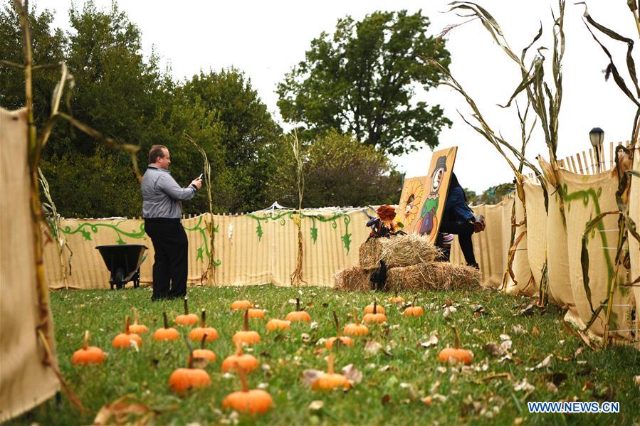 U.S.-NEW YORK-HARVEST FESTIVAL-PUMPKIN PATCH