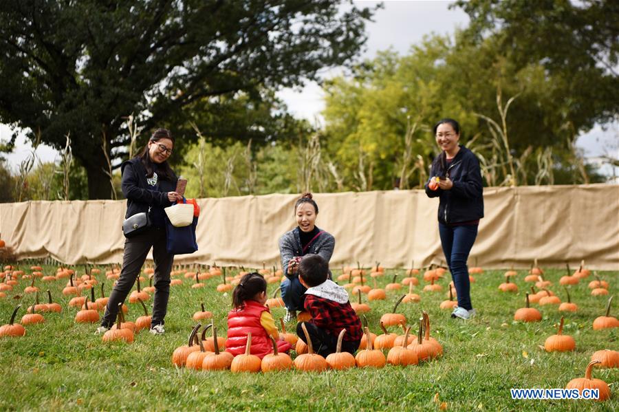 U.S.-NEW YORK-HARVEST FESTIVAL-PUMPKIN PATCH