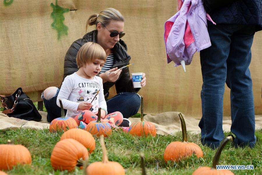 U.S.-NEW YORK-HARVEST FESTIVAL-PUMPKIN PATCH