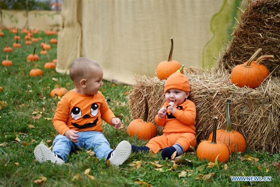U.S.-NEW YORK-HARVEST FESTIVAL-PUMPKIN PATCH