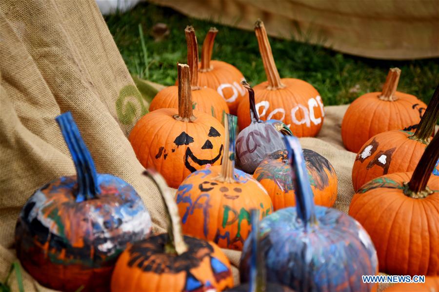U.S.-NEW YORK-HARVEST FESTIVAL-PUMPKIN PATCH