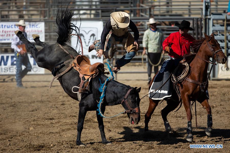 (SP)U.S.-LOS ANGELES-SAN DIMAS-PRO RODEO