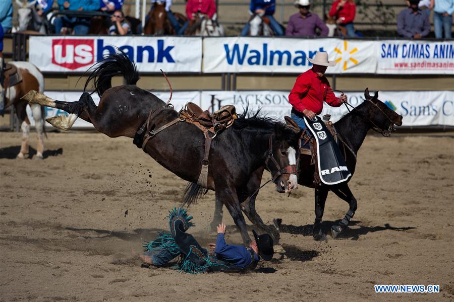 (SP)U.S.-LOS ANGELES-SAN DIMAS-PRO RODEO