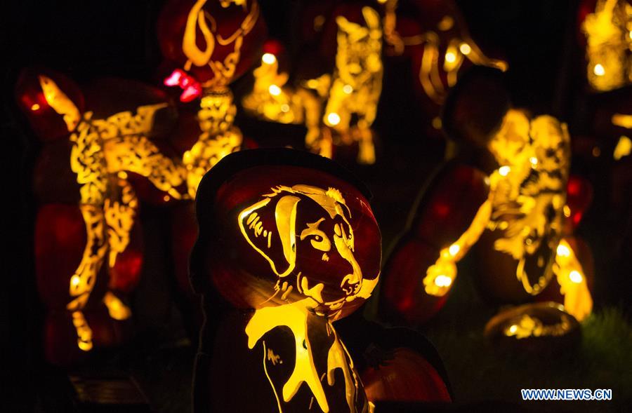 CANADA-ONTARIO-MORRISBURG-PUMPKINFERNO