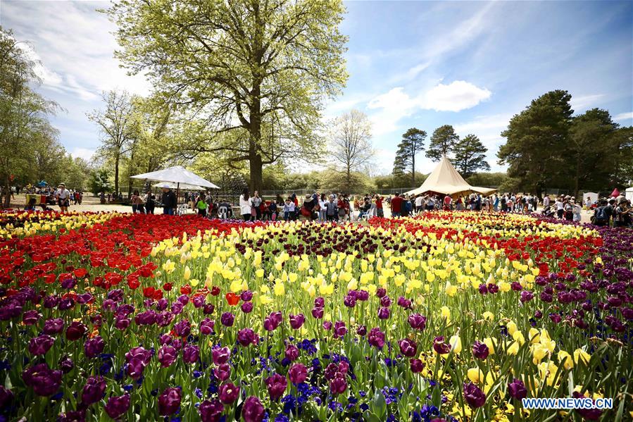 Annual flower and entertainment festival held in Canberra, Australia Xinhua English.news.cn