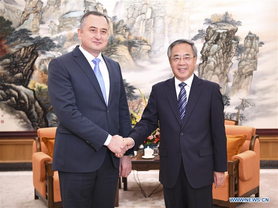 CHINA-BEIJING-HU CHUNHUA-TAJIKISTAN-DAVLATALI SAID-MEETING (CN)