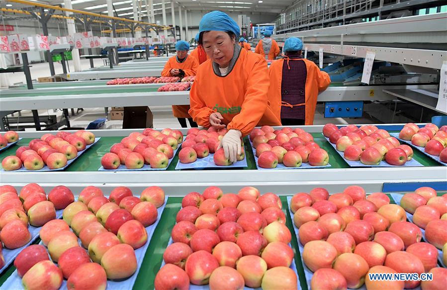 CHINA-HENAN-LUONING-APPLE INDUSTRY (CN)