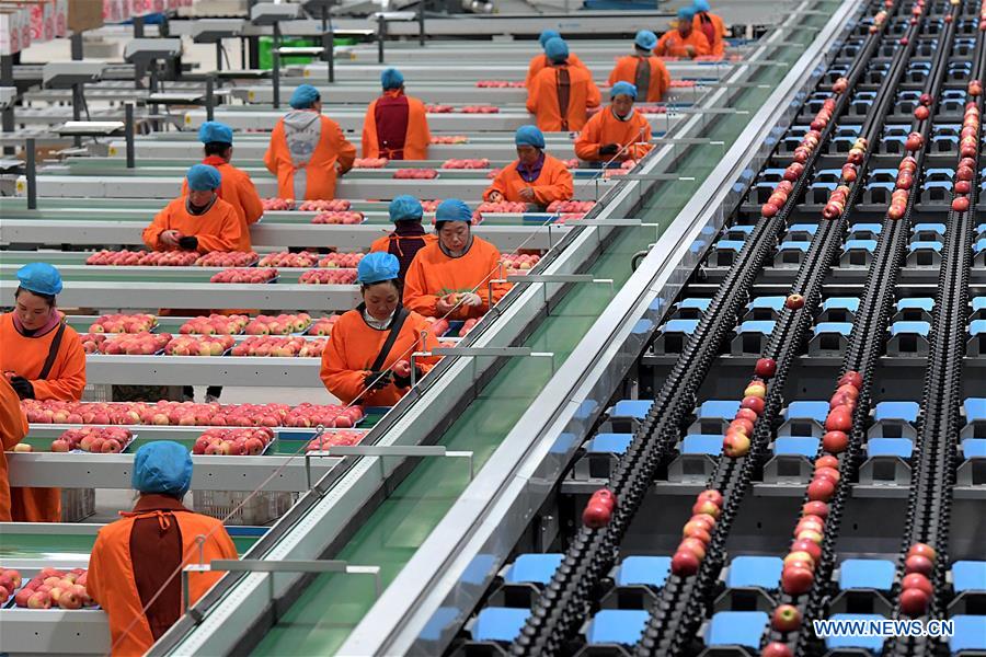 CHINA-HENAN-LUONING-APPLE INDUSTRY (CN)