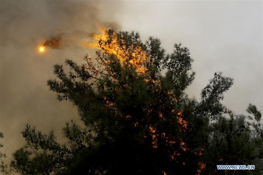 LEBANON-CHOUF-FIRE