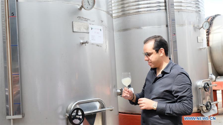 MOROCCO-ROMMANI-WINERY-CIIE-CHINESE MARKET