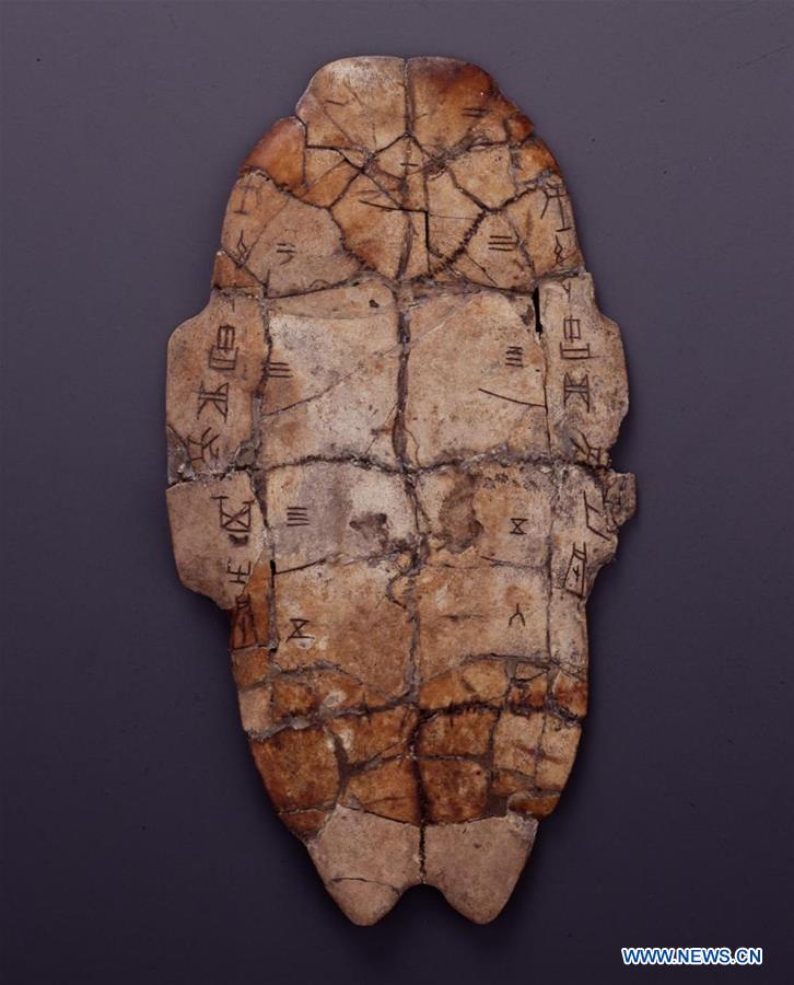 XINHUA PHOTOS OF THE DAY