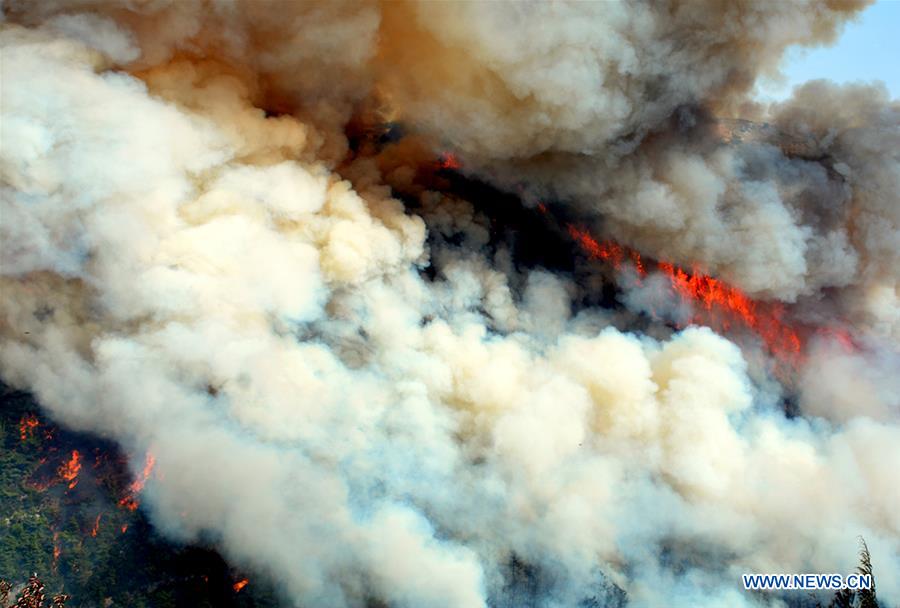 XINHUA PHOTOS OF THE DAY