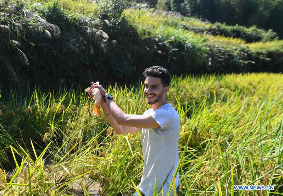 CHINA-ZHEJIANG-XIAOZHOUSHAN TOWNSHIP-AUTUMN HARVEST (CN)