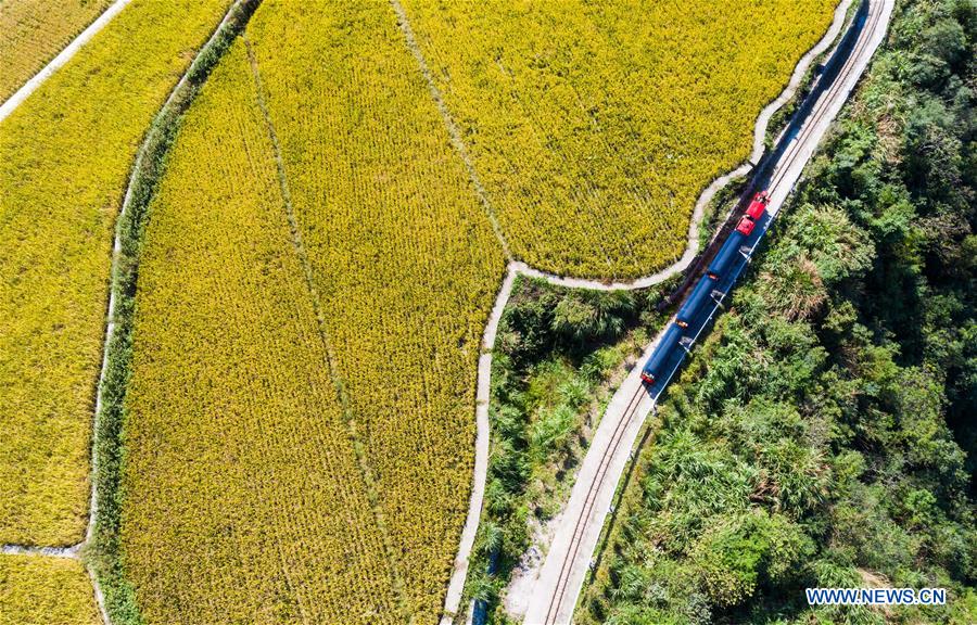 CHINA-ZHEJIANG-XIAOZHOUSHAN TOWNSHIP-AUTUMN HARVEST (CN)