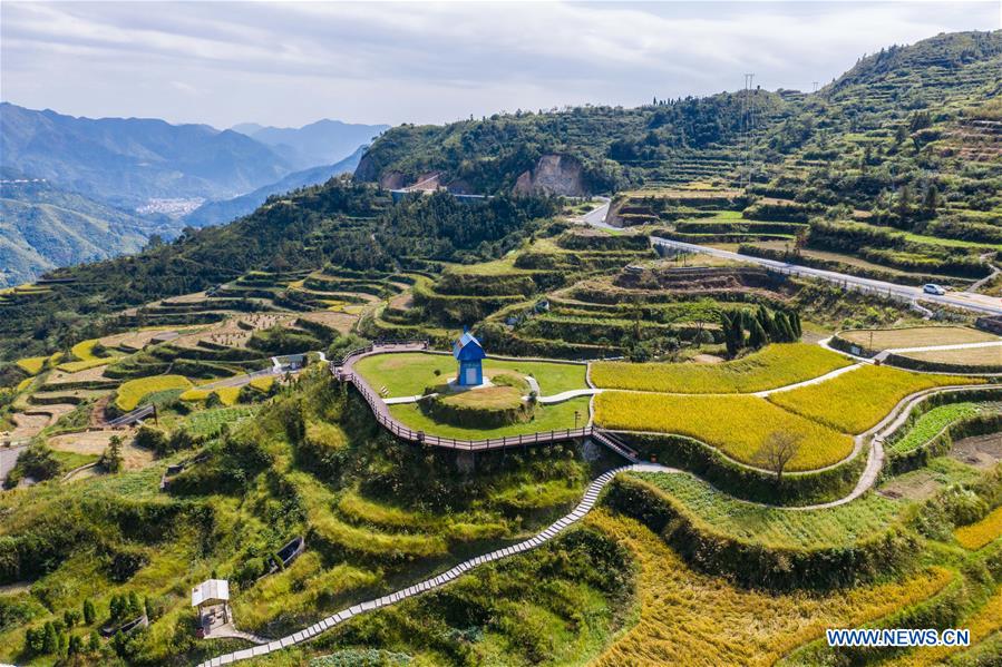 CHINA-ZHEJIANG-XIAOZHOUSHAN TOWNSHIP-AUTUMN HARVEST (CN)