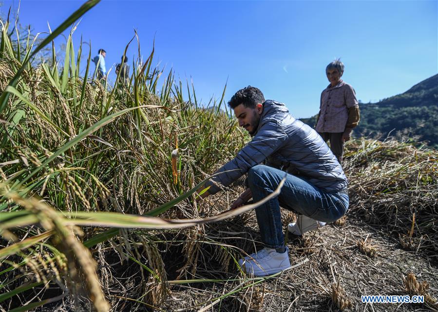 CHINA-ZHEJIANG-XIAOZHOUSHAN TOWNSHIP-AUTUMN HARVEST (CN)