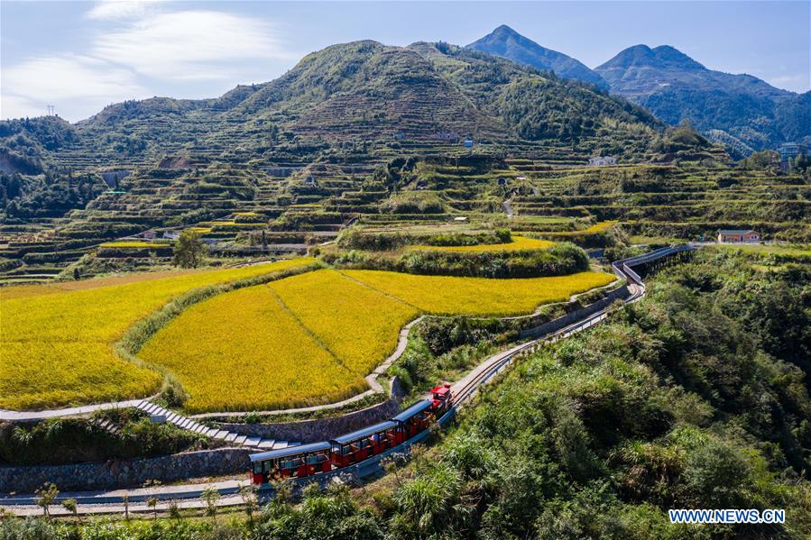 CHINA-ZHEJIANG-XIAOZHOUSHAN TOWNSHIP-AUTUMN HARVEST (CN)