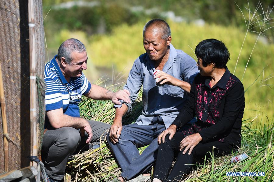 CHINA-ZHEJIANG-XIAOZHOUSHAN TOWNSHIP-AUTUMN HARVEST (CN)